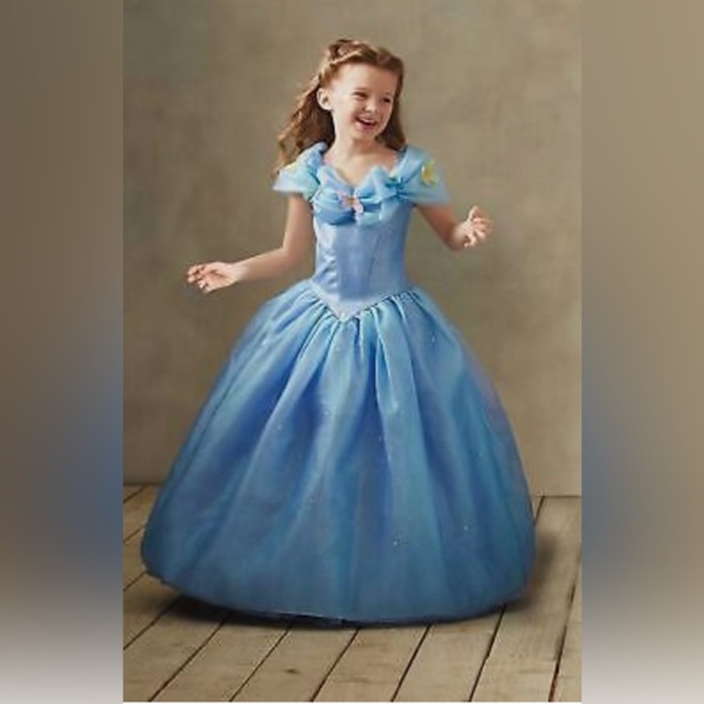 Deluxe Disney Live Action Cinderella Costume Gown . Chasing Fireflies . Size 10